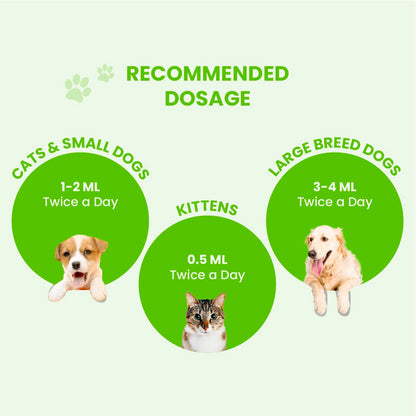 FUR BALL STORY Pacho Pet Digestive Syrup for Dogs & Cats  | Ayurvedic Pet Digestive Medicine | Relieves Indigestion, Promotes Gut Health