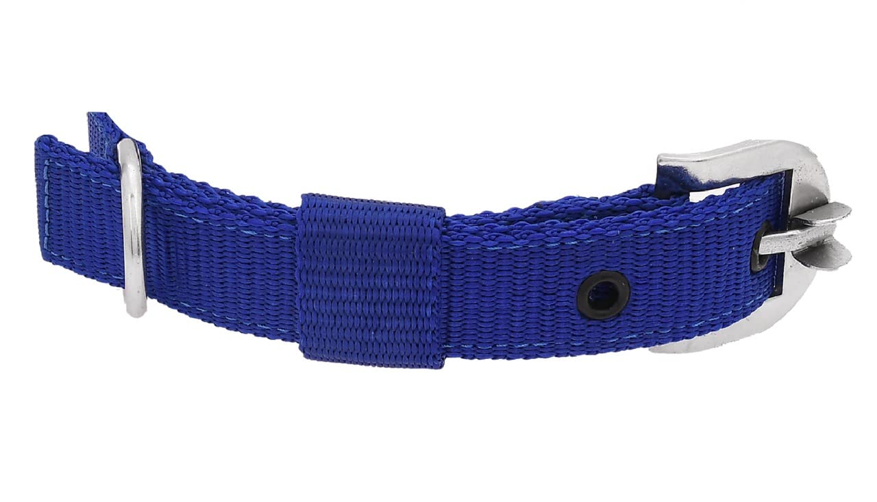 Neck Collar Belts Waterproof,  Collar for Small and Medium Dogs