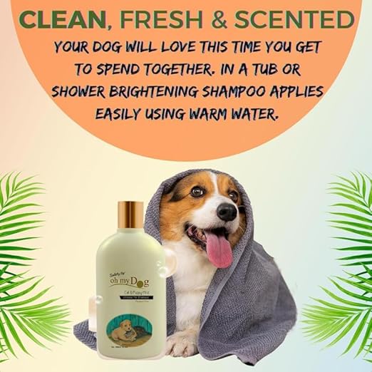 Oh My Dog Smarty Pet Shampoo, Paraben-Free, 500 ml Sold by Barkz and Mewz (Cat & Puppy)