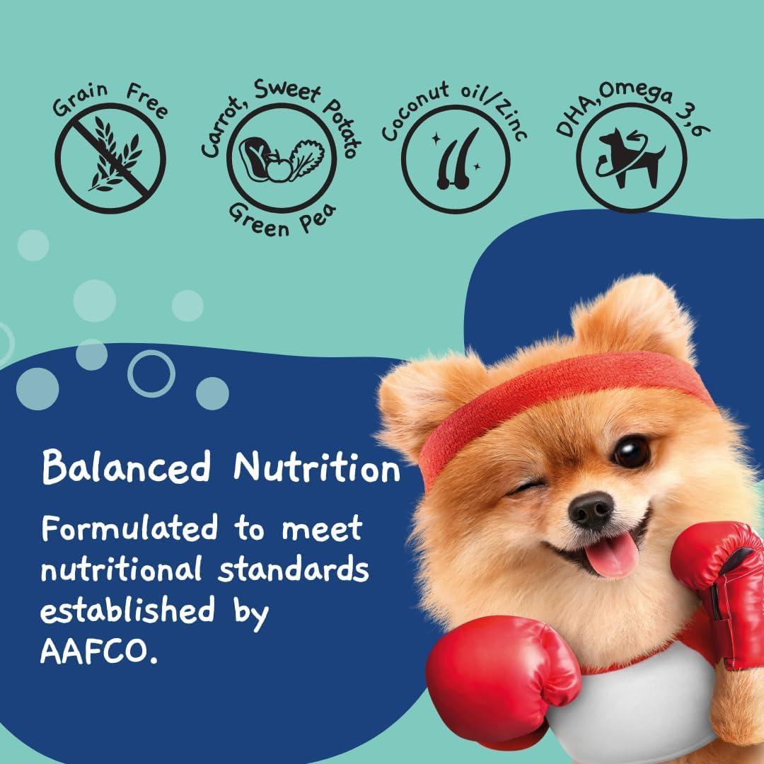 Moochie Wet Dog Food, Grain Free Gavy Meal, Weight Control with Turkey, Sweet Potato, Pumpkin and Green Peas, High Protein Dogs Gravy Foods, Non-Veg Pet Meals for Dogs