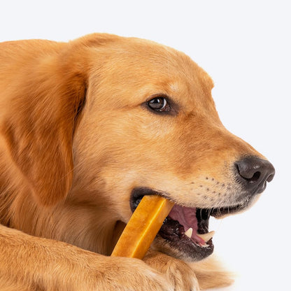 Yakies Vegetarian Natural Chew Bone