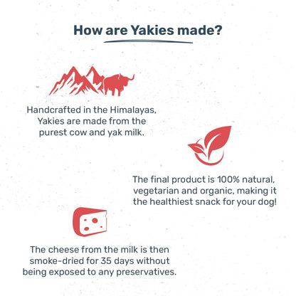 Yakies 100% Natural & Vegetarian Apple Chew Bone for Dogs