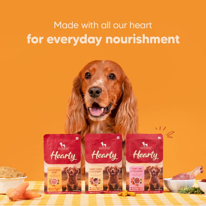 Hearty by Heads Up For Tails - Shredded Chicken & Pumpkin in Gravy Dog Wet Food | Real Chicken and Veggies | No Artificial Preservatives | Wet Dog Food Suitable for All Breeds