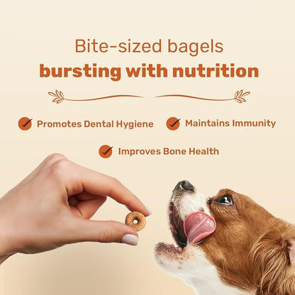 Healthy Dog Biscuit | Biscuits for Adult Dogs & Puppies | Chicken Biscuits, Protein-Rich & Gluten-Free | No Artificial Preservatives
