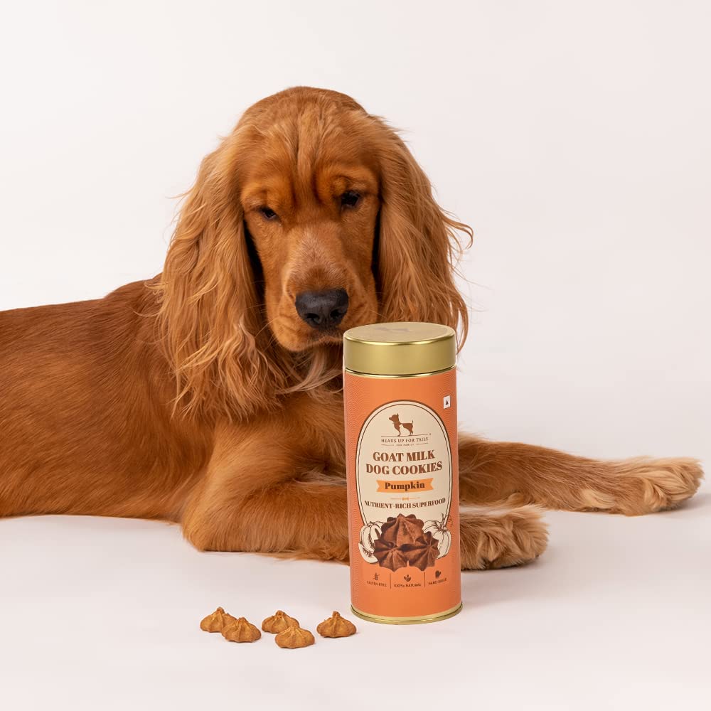 HUFT Goat Milk Dog Cookies
