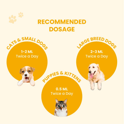 FUR BALL STORY Fev Pet 60ml | Ayurvedic Fever Relief Syrup for Dogs & Cats| Reduces Fever, Cough, Cold, Body Pain | Controls Viral Infections | Immunity Booster
