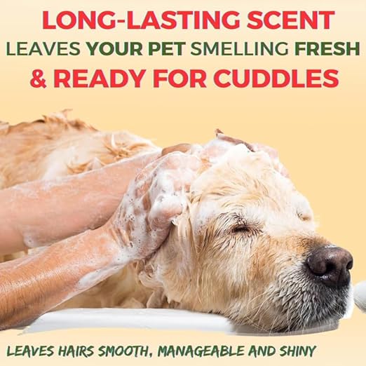 Oh My Dog Paraben Free Ultimate Pet Shampoo for Puppies & Dogs Odour Control 500 Ml