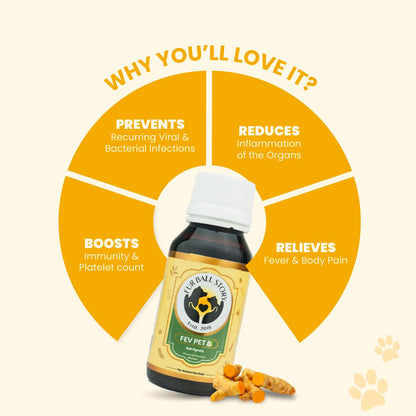 FUR BALL STORY Fev Pet 60ml | Ayurvedic Fever Relief Syrup for Dogs & Cats| Reduces Fever, Cough, Cold, Body Pain | Controls Viral Infections | Immunity Booster