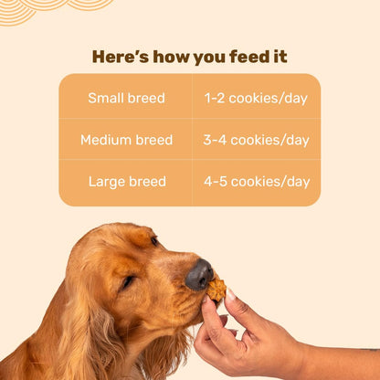 HUFT Goat Milk Dog Cookies
