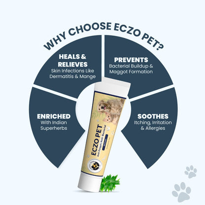 FUR BALL STORY Eczo Pet Ayurvedic Cream for Dogs & Cats | Herbal Ointment with Neem & Bakuchi | Treats Fungal & Bacterial Infections, Itching, Ringworm, Eczema