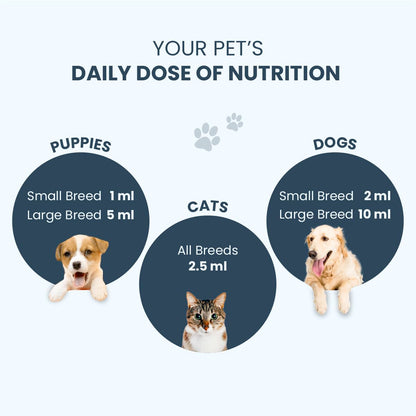 FUR BALL STORY Supertonic Pet Supplement 200ml | Ayurvedic Tonic for Dogs & Cats | Head to Tail Wellness | Boosts Immunity, Supports Kidney, Liver, Gut, Brain & Organ Functions | Vet Recommended