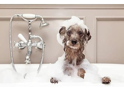 Oh My Dog DryBath Shampoo for Dogs, Puppies, Cats and Kittens - (Wild Pet, 200ml) | Water Free Bath for All Coat Types with Tea Tree Oil, Jojoba Oil, and Aloe Vera for Soft Smooth Fur