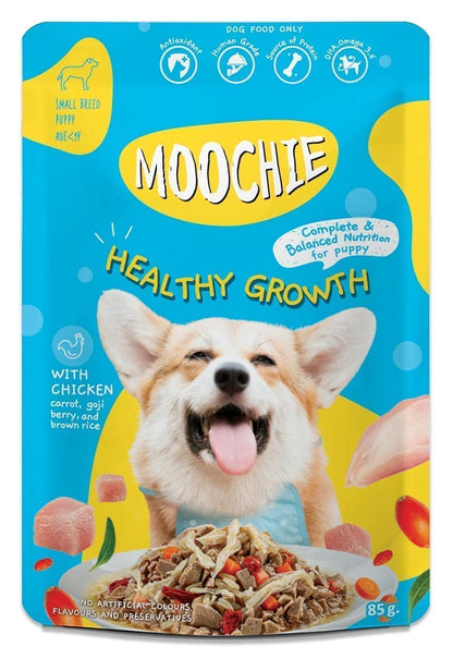 PETS EMPIRE Moochie Wet Dog Food Combo, Grain Free Gavy Meal, No Artificial Flavours, High Protein Dogs Gravy Foods, Non-Vegetarian Pet Meals, All Flavour Mix for Dogs, Puppy