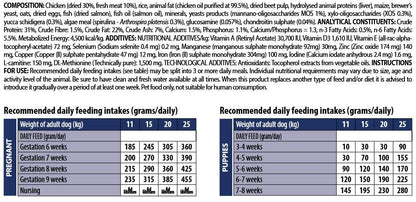 Monge Daily Line -Medium Starter with Chicken