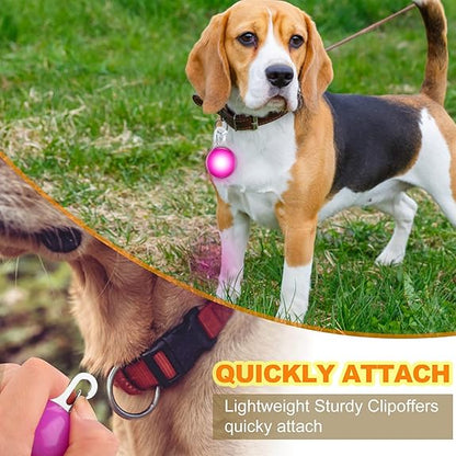 LED COLLER TAG
