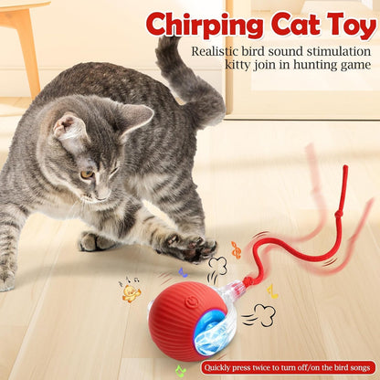 Smart Rolling LED Ball, Automatic & USB Rechargeable Motion Activate for Indoor Kitten Puppy Dog cat- Pet Exercise