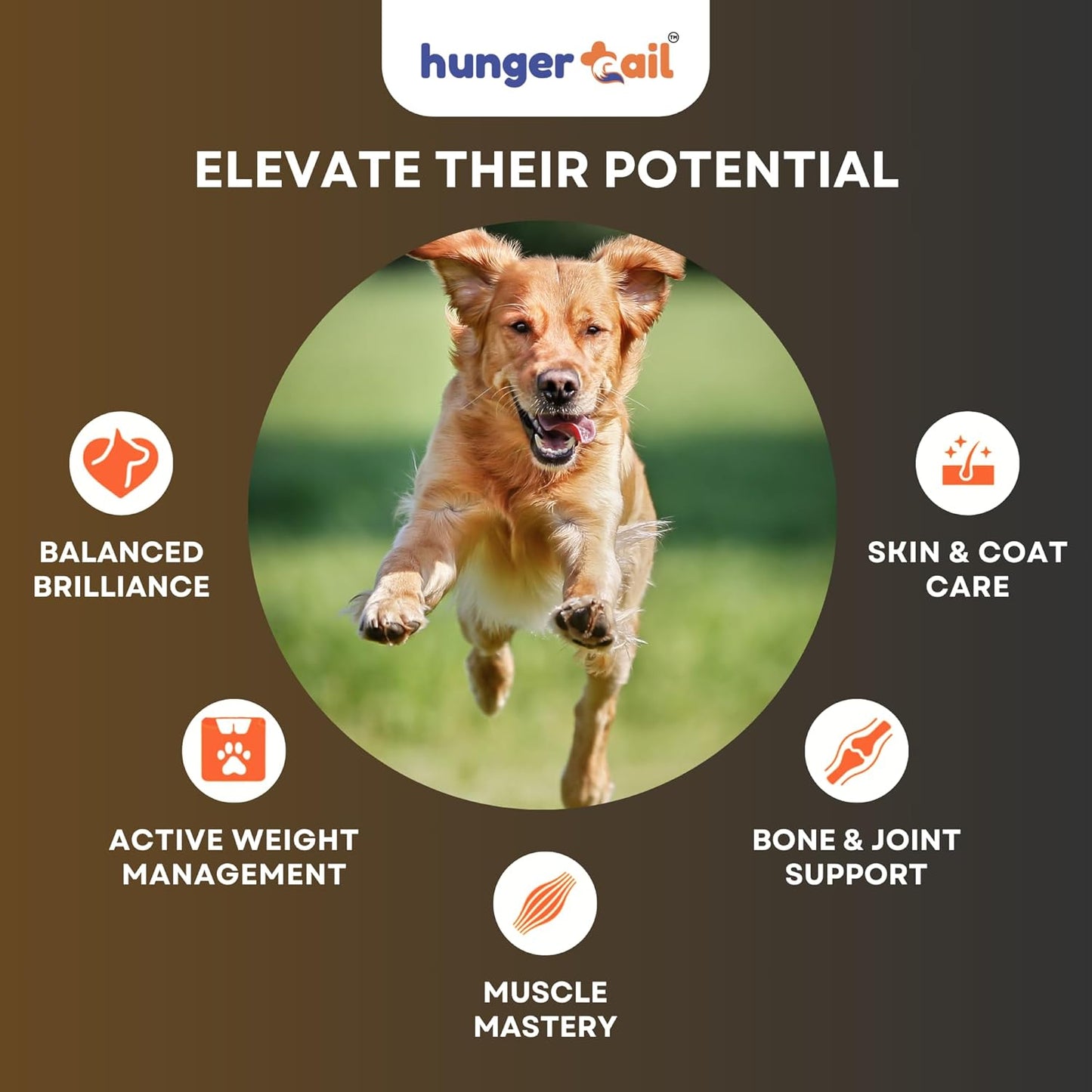 Hunger Tails Adult Achiever Chicken & Brown Rice 1 Year & Above Dry Dog Food Zero Fillers, Non GMO, Low Temperature Baked Made in India & for Indian Conditions Freshly Sourced Proteins