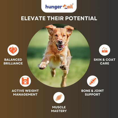 Hunger Tails Adult Achiever Chicken & Brown Rice 1 Year & Above Dry Dog Food Zero Fillers, Non GMO, Low Temperature Baked Made in India & for Indian Conditions Freshly Sourced Proteins