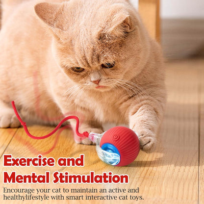 Smart Rolling LED Ball, Automatic & USB Rechargeable Motion Activate for Indoor Kitten Puppy Dog cat- Pet Exercise