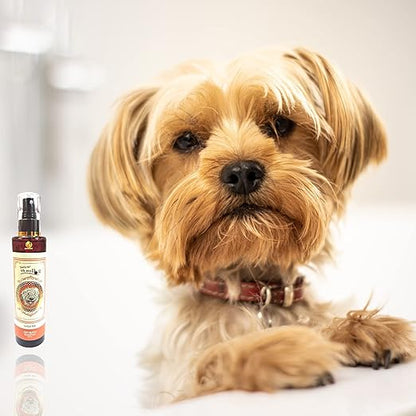 Oh My Dog DryBath Shampoo for Dogs, Puppies, Cats and Kittens - (Wild Pet, 200ml) | Water Free Bath for All Coat Types with Tea Tree Oil, Jojoba Oil, and Aloe Vera for Soft Smooth Fur