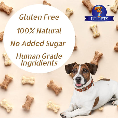 Dr. Pets Bistik Biscuits