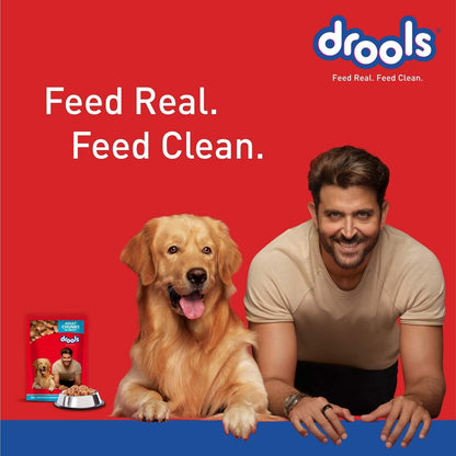 Drools Adult Wet Dog Food, Real Chicken and Chicken Liver Chunks in Gravy