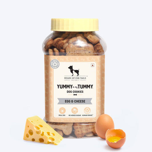 Yummy in my Tummy Egg & Cheese Dog Biscuits