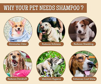 Oh My Dog Detangling Shampoo for Dogs and Puppies - 500ml | Paraben & Cruelty-Free Ultimate Pet Shampoo | Shiny, Soft and Tangle-Free Fur | Suitable for All Breeds and Sizes