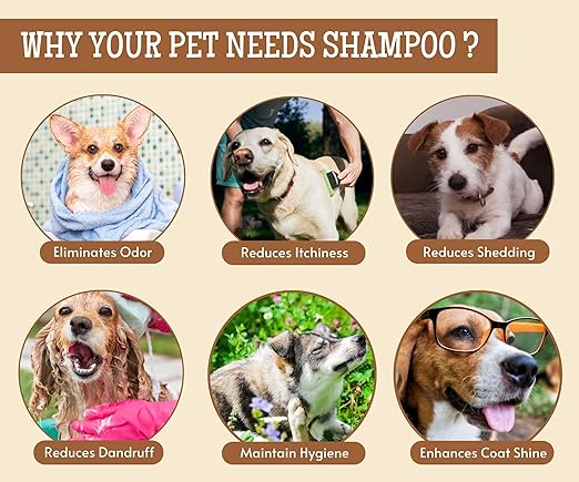 Oh My Dog Detangling Shampoo for Dogs and Puppies - 500ml | Paraben & Cruelty-Free Ultimate Pet Shampoo | Shiny, Soft and Tangle-Free Fur | Suitable for All Breeds and Sizes