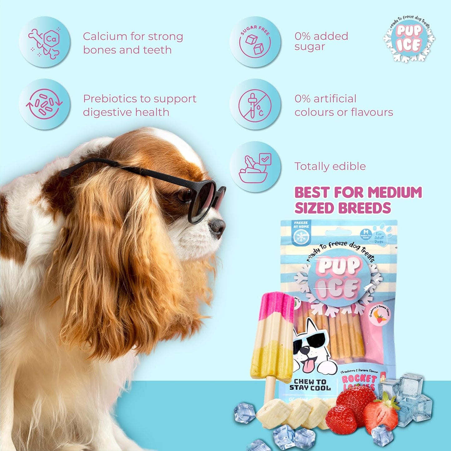 PUP ICE Ready to Freeze Rocket Lollies Dog Treats: Healthy,Prebiotics & Calcium Rich Edible Chew Snacks,No Added Sugar,No Artificial Colors or Flavors