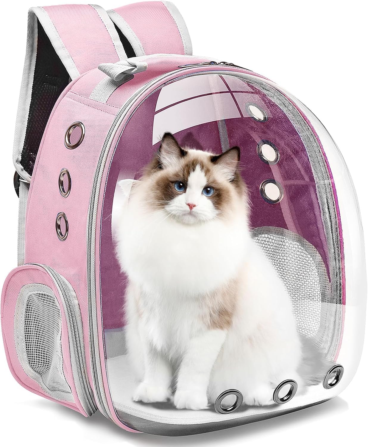Transparent Cat Carrier Backpack (Medium) | Breathable, Ventilated, Airline-Approved Pet Travel Bag for Cats & Small Dogs | Sturdy & Comfortable for Hiking & Travel