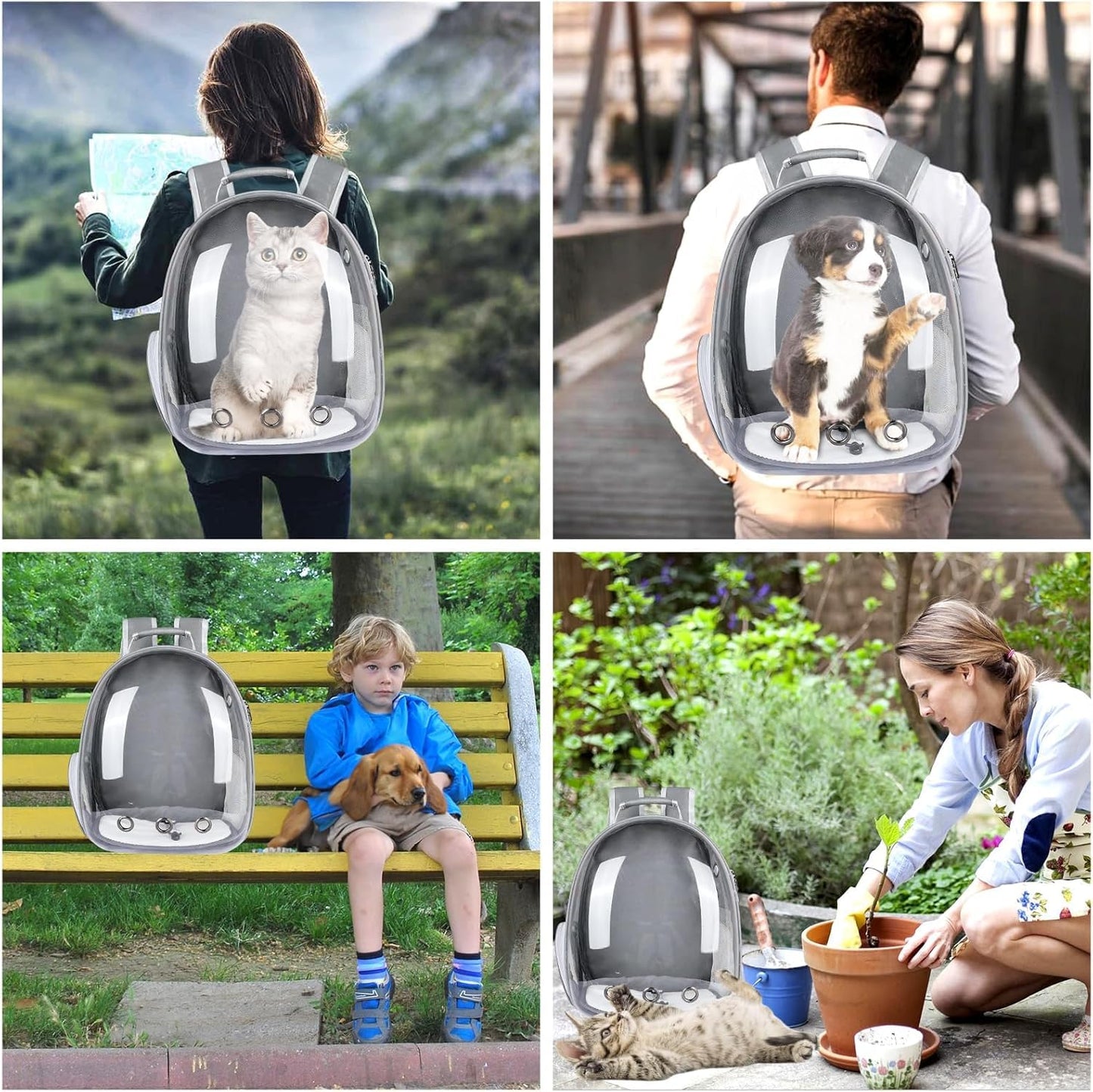 Transparent Cat Carrier Backpack (Medium) | Breathable, Ventilated, Airline-Approved Pet Travel Bag for Cats & Small Dogs | Sturdy & Comfortable for Hiking & Travel