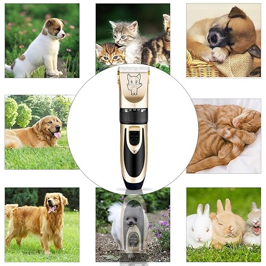 Unisex Dog & Cat Shaver Clippers Low Noise Rechargeable Cordless Electric Quiet Hair Trimmer Clippers Set for Dogs Cats Pets, Gold
