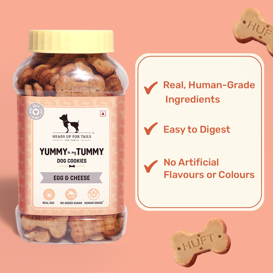Yummy in my Tummy Egg & Cheese Dog Biscuits