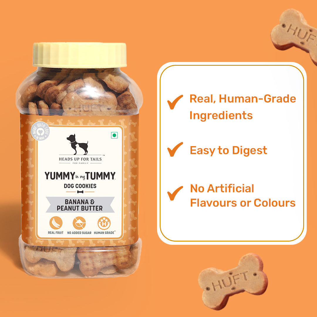 Yummy in my Tummy Banana & Peanut Butter Dog Biscuits