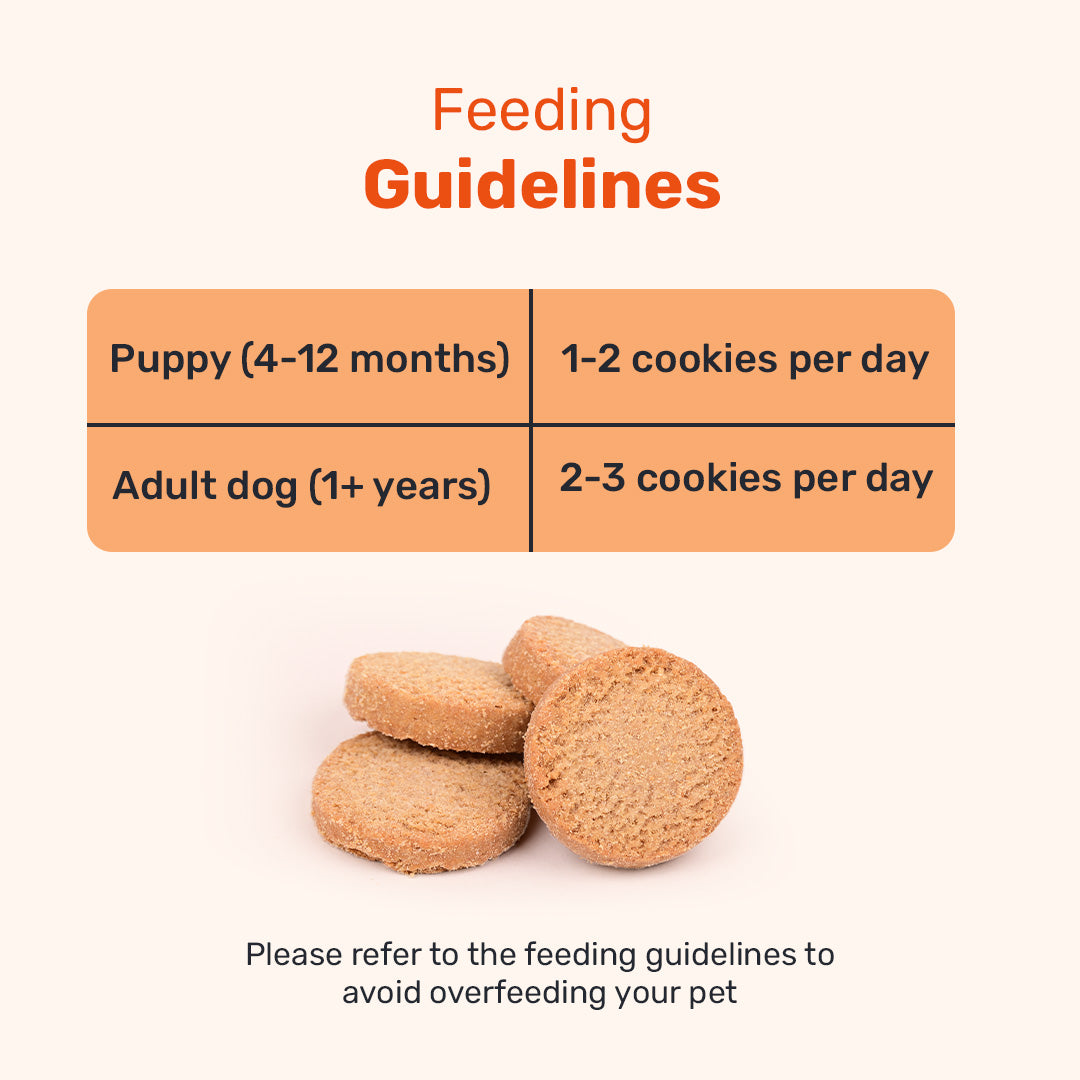 HUFT YIMT Chai Time Special Coconut Cabana Dog Biscuits - 200 gm