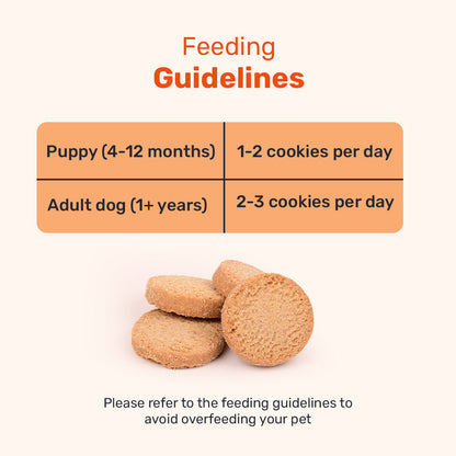 HUFT YIMT Chai Time Special Coconut Cabana Dog Biscuits - 200 gm