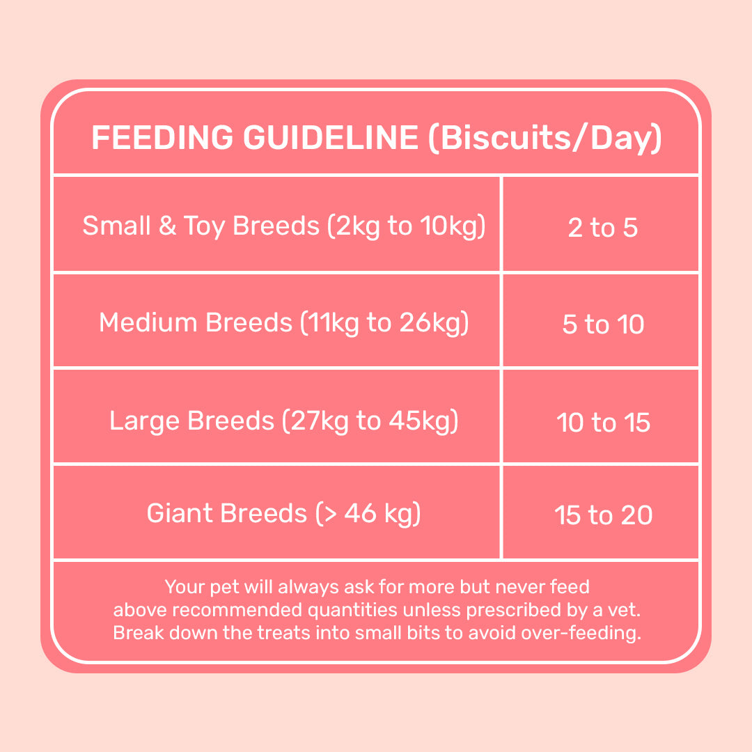 Yummy in my Tummy Apple & Cinnamon Vegetarian Dog Biscuits 320 gm