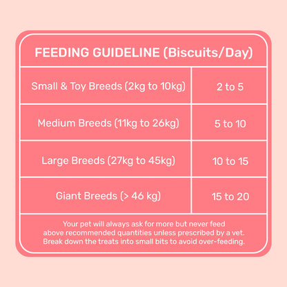 Yummy in my Tummy Apple & Cinnamon Vegetarian Dog Biscuits 320 gm