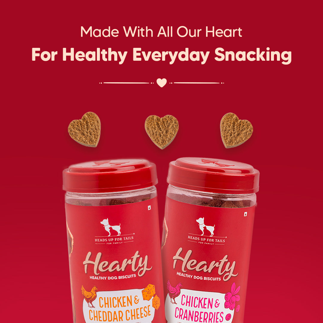 Hearty Chicken & Cheddar Cheese Healthy Dog Biscuits - 320 gm