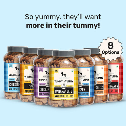 Yummy in my Tummy Chicken Gluten-Free Dog Biscuit 320g