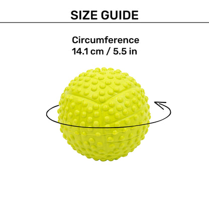 Dotted Textured Ball Squeaky Chew Toy For Dog - Green