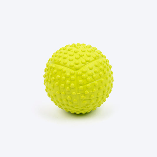 Dotted Textured Ball Squeaky Chew Toy For Dog - Green