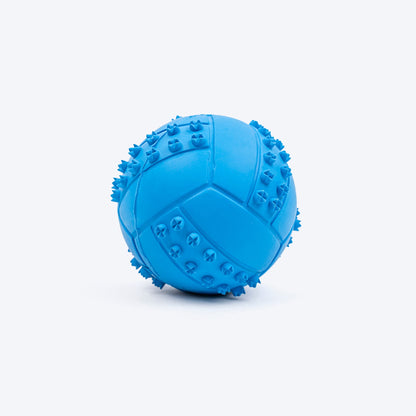 Textured Ball Squeaky Chew Toy For Dog - Blue