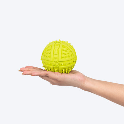 Textured Ball Squeaky Chew Toy For Dog - Green