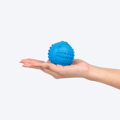 Textured Ball Squeaky Chew Toy For Dog - Blue