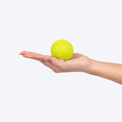 Dotted Textured Ball Squeaky Chew Toy For Dog - Green