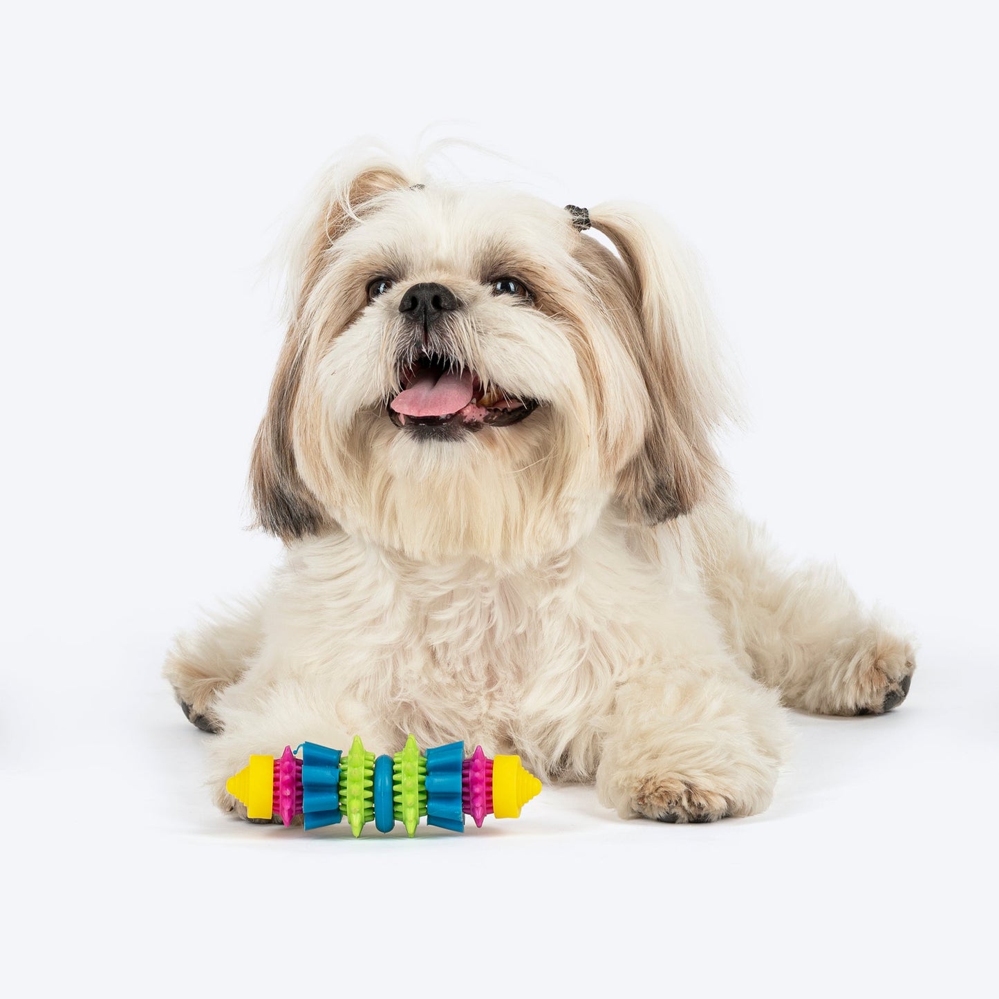 Spiky Chomp Chew Toy For Dog - Multicolor