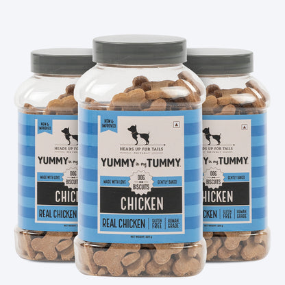 Yummy in my Tummy Chicken Gluten-Free Dog Biscuit 320g
