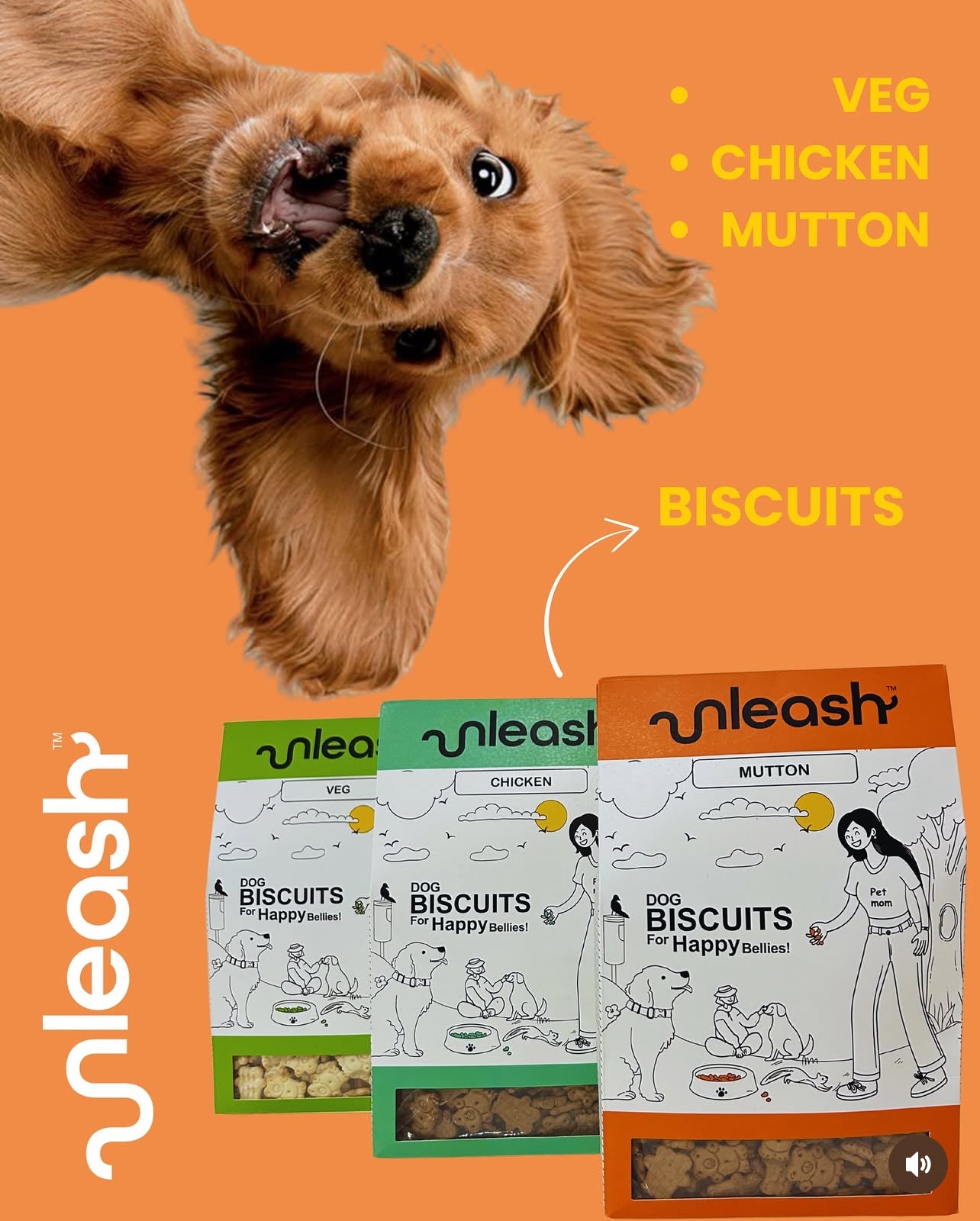 Unleash Dog Biscuits Crunchy & Healthy Treats for Puppies and Adult Dogs Nutrient-Rich Snacks with Calcium & Protein Perfect Training Reward 900g